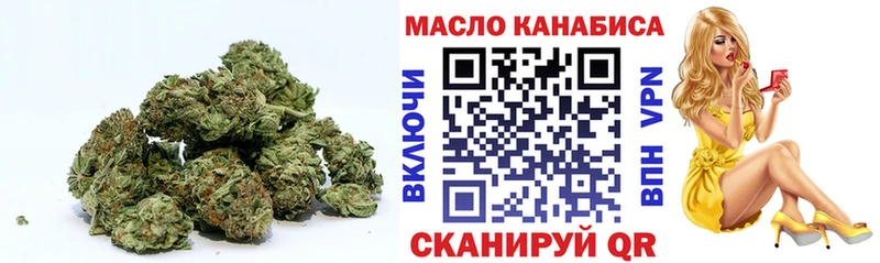 Купить где  Каргополь  ТГК гашишное масло 