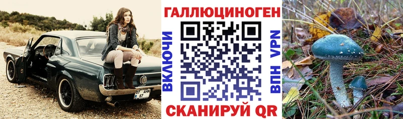 Псилоцибиновые грибы Psilocybine cubensis  Купить  Каргополь 