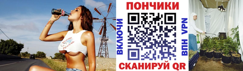 Купить  Каргополь  Бошки Шишки Bruce Banner 